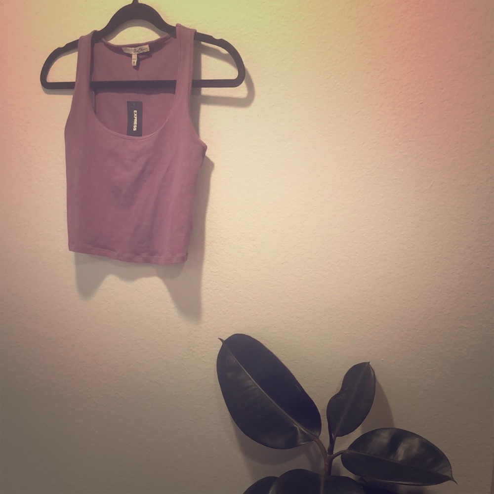 Express One Eleven Crop Top